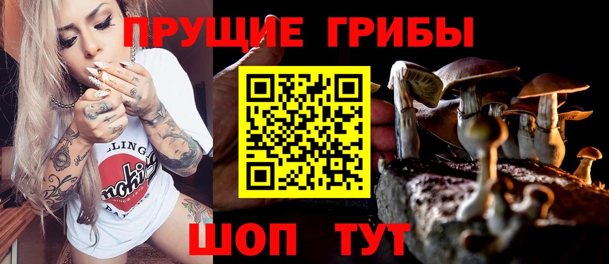 Галлюциногенные грибы Magic Shrooms Великий Устюг