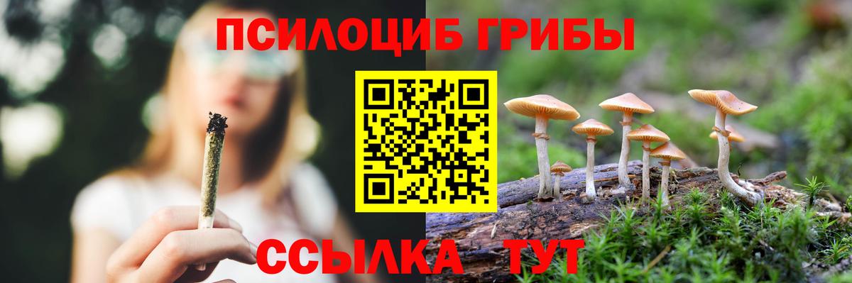 Великий Устюг  Псилоцибиновые грибы Cubensis  Вход с VPN  где продают наркотики  Псилоцибиновые грибы ЛСД 